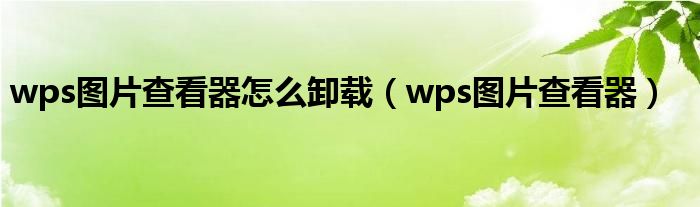 wps图片查看器(wps图片查看器怎么卸载)