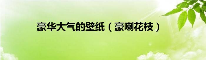 豪喇花枝(豪华大气的壁纸)