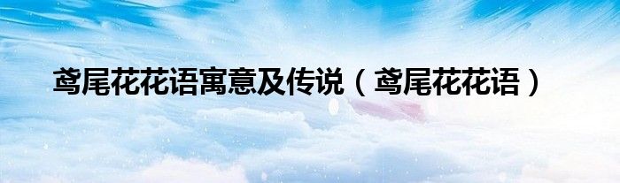 鸢尾花花语(鸢尾花花语寓意及传说)