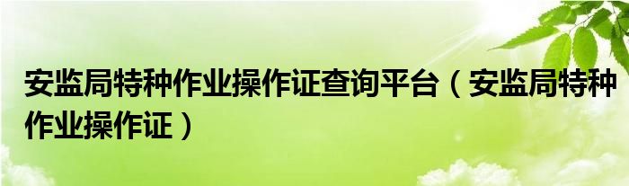 安监局特种作业操作证(安监局特种作业操作证查询平台)