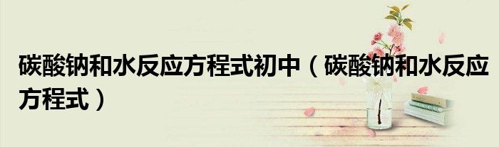 碳酸钠和水反应方程式(碳酸钠和水反应方程式初中)