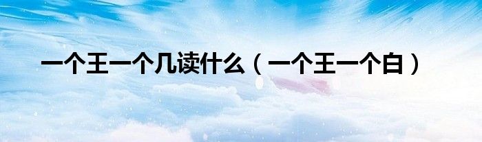 一个王一个白(一个王一个几读什么)
