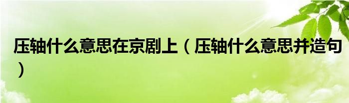 压轴什么意思并造句(压轴什么意思在京剧上)