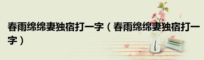 春雨绵绵妻独宿打一字(春雨绵绵妻独宿打一字)
