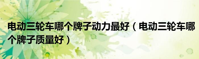 电动三轮车哪个牌子质量好(电动三轮车哪个牌子动力最好)