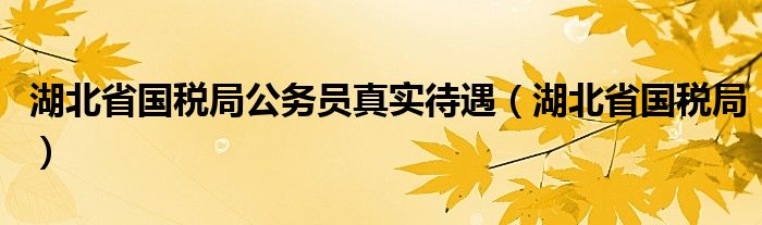 湖北省国税局(湖北省国税局公务员真实待遇)