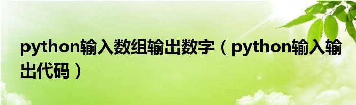 python输入输出代码(python输入数组输出数字)