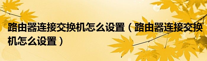 路由器连接交换机怎么设置(路由器连接交换机怎么设置)