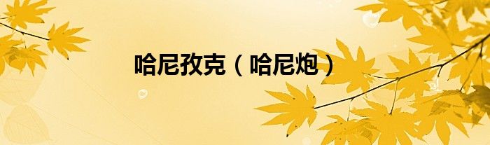 哈尼炮(哈尼孜克)
