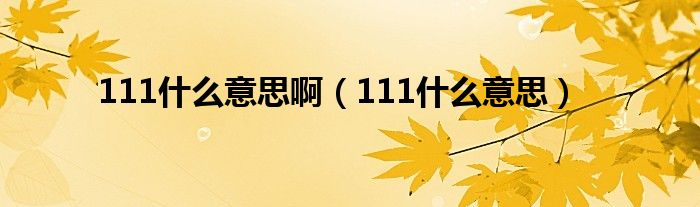 111什么意思(111什么意思啊)