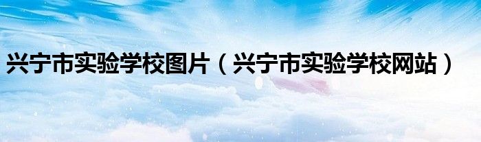 兴宁市实验学校网站(兴宁市实验学校图片)