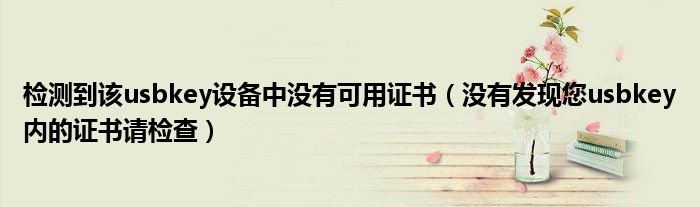 没有发现您usbkey内的证书请检查(检测到该usbkey设备中没有可用证书)