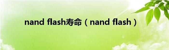 nand flash(nand flash寿命)