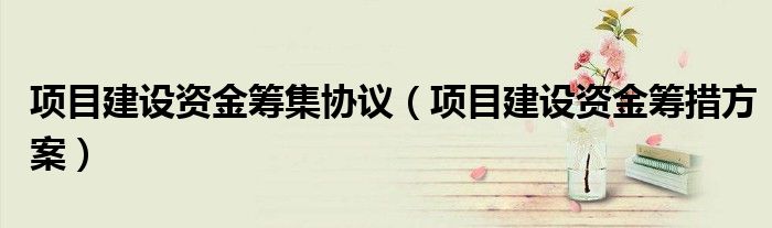 项目建设资金筹措方案(项目建设资金筹集协议)