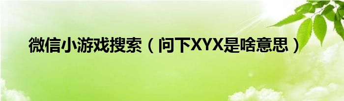 问下XYX是啥意思(微信小游戏搜索)