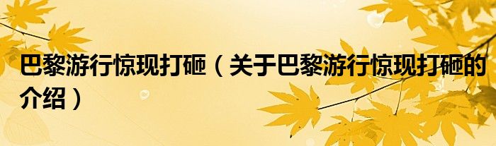 关于巴黎游行惊现打砸的介绍(巴黎游行惊现打砸)