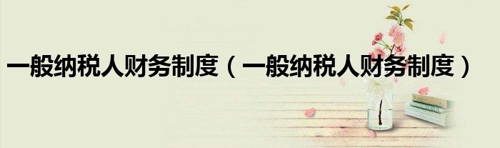 一般纳税人财务制度(一般纳税人财务制度)