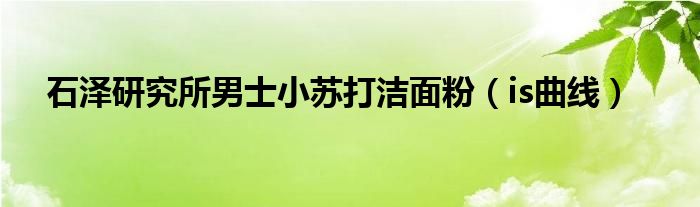 is曲线(石泽研究所男士小苏打洁面粉)