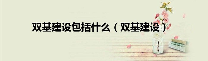 双基建设(双基建设包括什么)