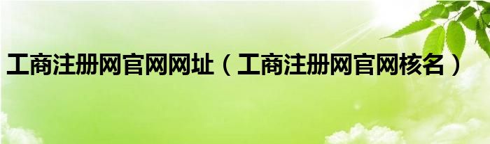 工商注册网官网核名(工商注册网官网网址)
