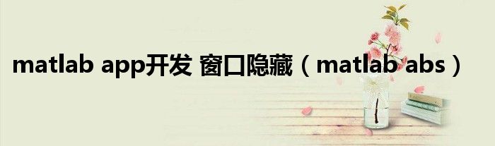 matlab abs(matlab app开发 窗口隐藏)