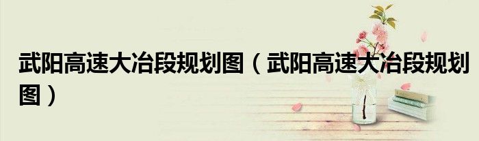 武阳高速大冶段规划图(武阳高速大冶段规划图)