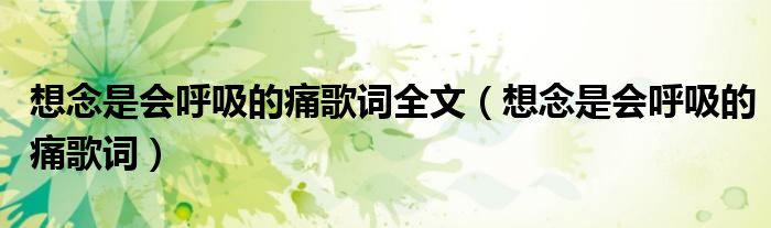 想念是会呼吸的痛歌词(想念是会呼吸的痛歌词全文)