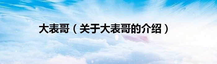 关于大表哥的介绍(大表哥)