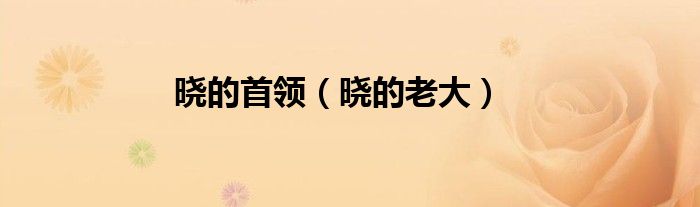 晓的老大(晓的首领)