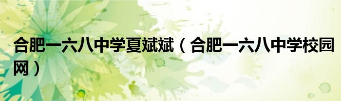 合肥一六八中学校园网(合肥一六八中学夏斌斌)