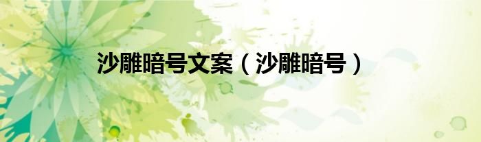 沙雕暗号(沙雕暗号文案)