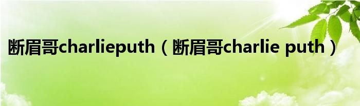 断眉哥charlie puth(断眉哥charlieputh)