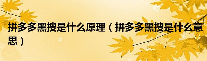 拼多多黑搜是什么意思(拼多多黑搜是什么原理)