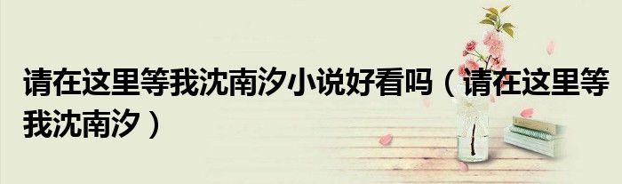 请在这里等我沈南汐(请在这里等我沈南汐小说好看吗)
