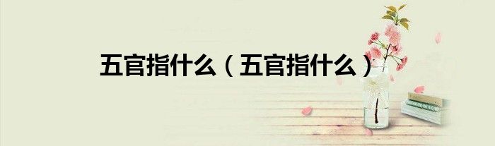 五官指什么(五官指什么)