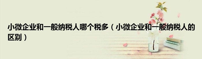 小微企业和一般纳税人的区别(小微企业和一般纳税人哪个税多)