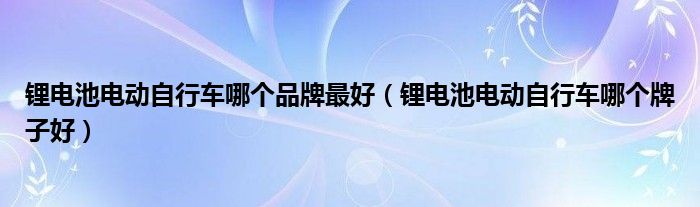锂电池电动自行车哪个牌子好(锂电池电动自行车哪个品牌最好)