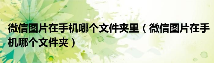 微信图片在手机哪个文件夹(微信图片在手机哪个文件夹里)
