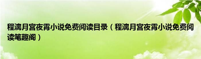 程漓月宫夜霄小说免费阅读笔趣阁(程漓月宫夜霄小说免费阅读目录)