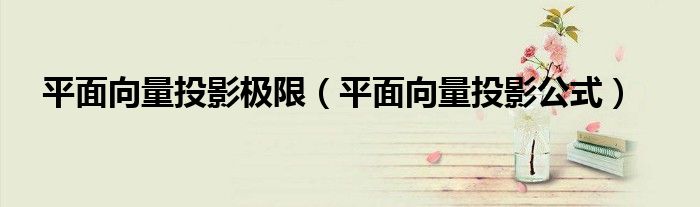 平面向量投影公式(平面向量投影极限)
