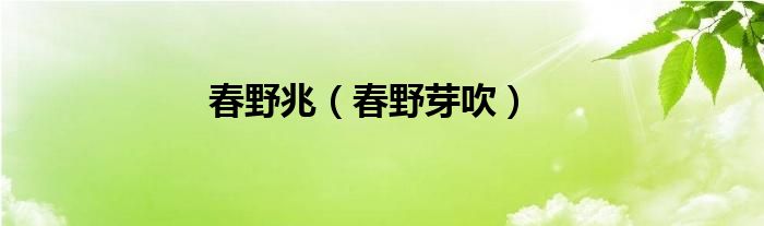 春野芽吹(春野兆)