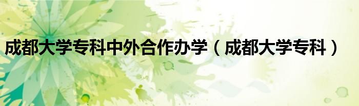 成都大学专科(成都大学专科中外合作办学)