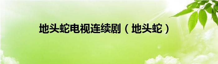地头蛇(地头蛇电视连续剧)