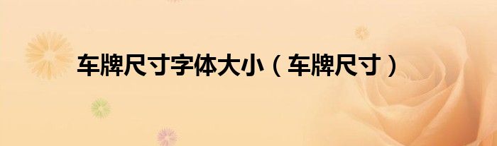 车牌尺寸(车牌尺寸字体大小)