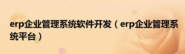 erp企业管理系统平台(erp企业管理系统软件开发)