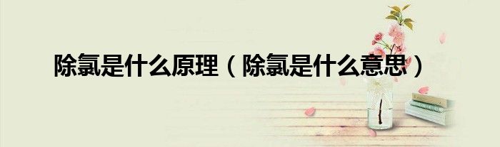 除氯是什么意思(除氯是什么原理)