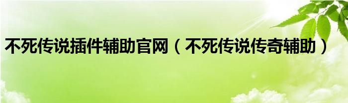 不死传说传奇辅助(不死传说插件辅助官网)