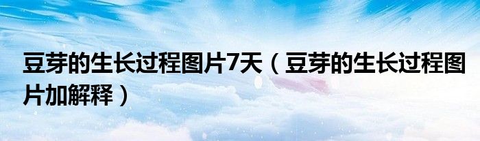 豆芽的生长过程图片加解释(豆芽的生长过程图片7天)