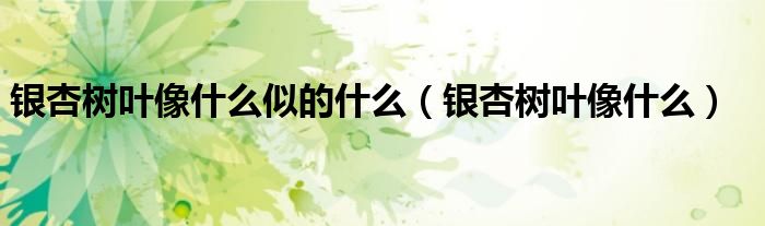 银杏树叶像什么(银杏树叶像什么似的什么)