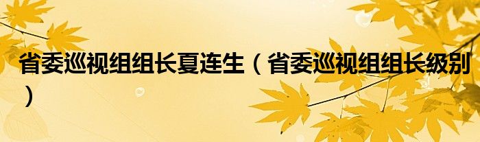 省委巡视组组长级别(省委巡视组组长夏连生)